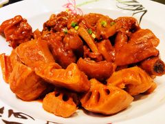 蹄花焖藕-刘胖子家常菜·蹄花焖藕(中南店)
