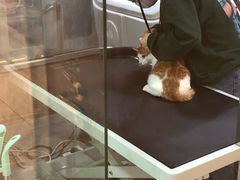 -悠尼宠物·独立低压伊珊娜洗护·美容·寄养(兰谷路店)