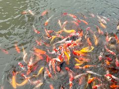 -圆通寺