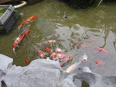 -道南書院·私房菜·早午茶·茶馆