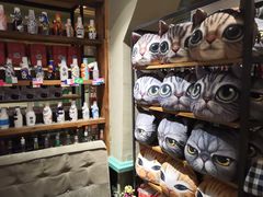 -猫咪博物馆(顶澳仔猫街店)