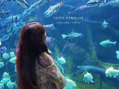 -波塞冬旅游度假区