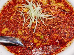 水煮肉片-华豫川酒家(双子塔店)