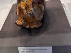 -北京周口店北京人遗址博物馆