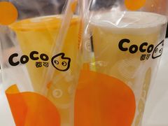 -CoCo都可(燕塘店)