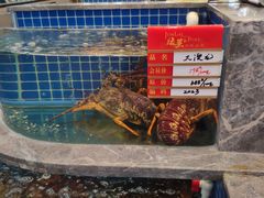 水产区-骏莱海鲜鱼港(五角场店)