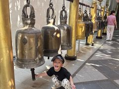 -大象粑粑造纸公园