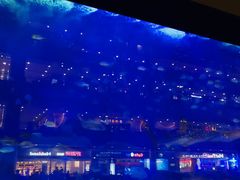 -成都浩海立方海洋公园