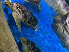 -石家庄市动物园