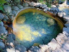 -三江森林温泉度假区