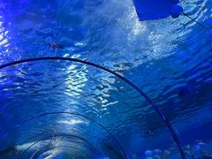 -泉城欧乐堡海洋极地世界