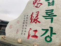 -望天鹅景区