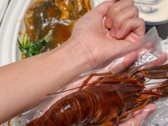 -新光酒家·河豚·海鲜·蟹料理(浦东店)