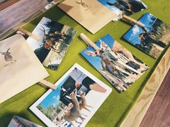 小鹿商店-鹿境梅花鹿生态园区