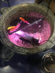 -木北造型