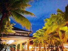 -海南清水湾莱佛士酒店