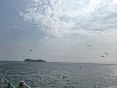 -海驴岛(荣成市)
