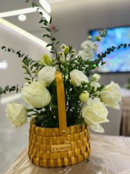 -宝生月子中心(独栋园林·福田店)