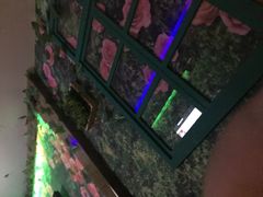-鑫麦KTV(首都宾馆店)