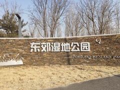 -东郊湿地公园