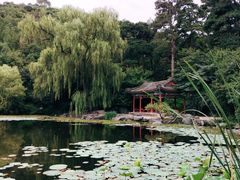 -香山公园