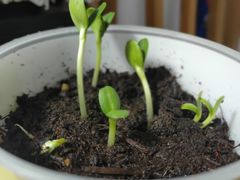 -KKV(南京新城市广场店)