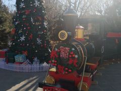 -南宫五洲植物乐园