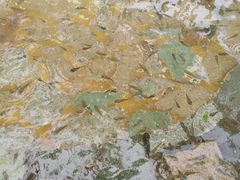 -都斛海鲜街