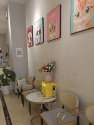 -洗脸猫·洗脸吧