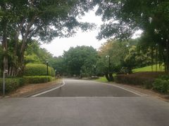 -福建鲤鱼洲酒店