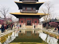 -广富林郊野公园