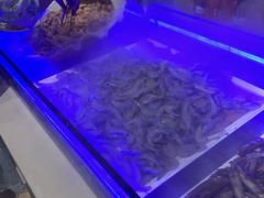-比尔森韩式烤肉自助(国商店)