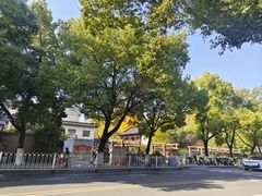 -郑和公园