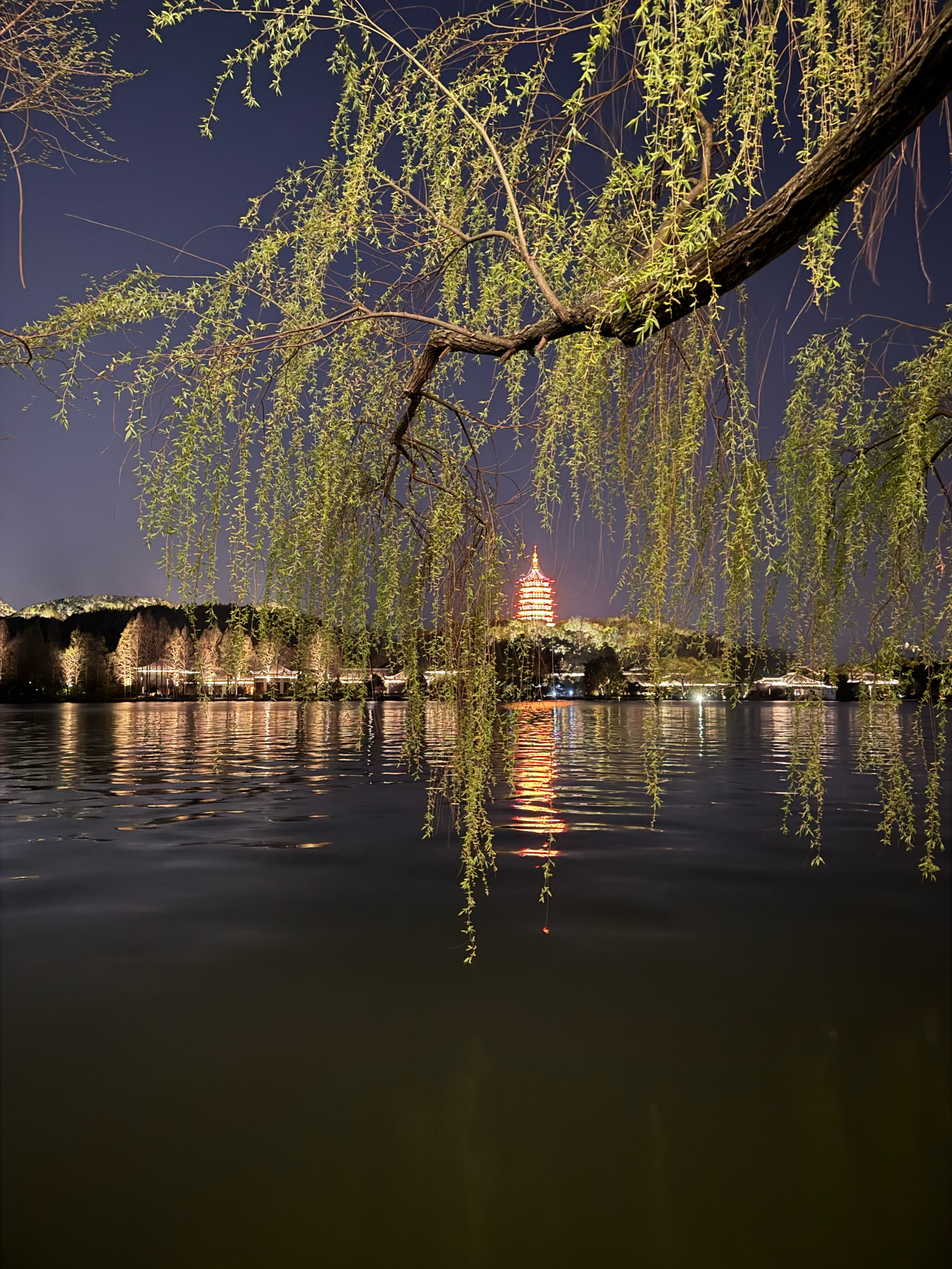 真实夜景图片 风景图片