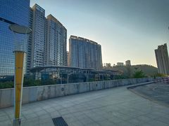 -国际邮轮中心码头(厦鼓码头)
