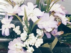 -桂桂茶(万嘉广场店)