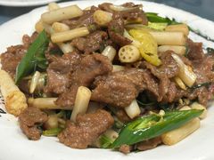 -洞背山庄(洞背院区式管理小区店)