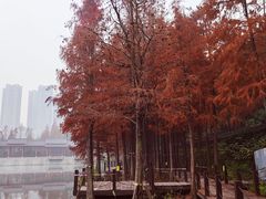 -重庆彩云湖湿地公园