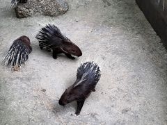 -呀诺达热带雨林