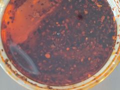 -清真·宏顺祥卤汁凉粉(大皮院店)