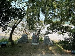 -平湖九龙山旅游度假区