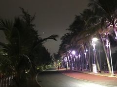 -万绿园
