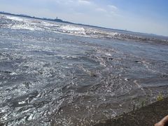 -观潮胜地公园