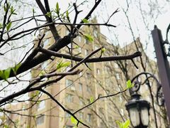-桂在香知桂林米粉(红博中央公园店)