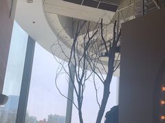 -一棠龙虾•王牌虾球(恒隆广场店)
