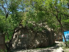-阳台山自然风景区