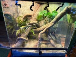 -酷嗒动物文化乐园(cutezoo西溪乐天城店)