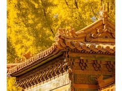 -故宫博物院(故宫)