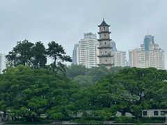 -江心屿景区