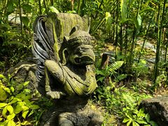 -新加坡飞禽公园